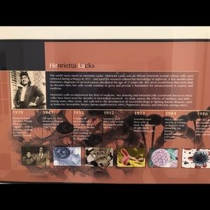 Meet your Posher, Isaac